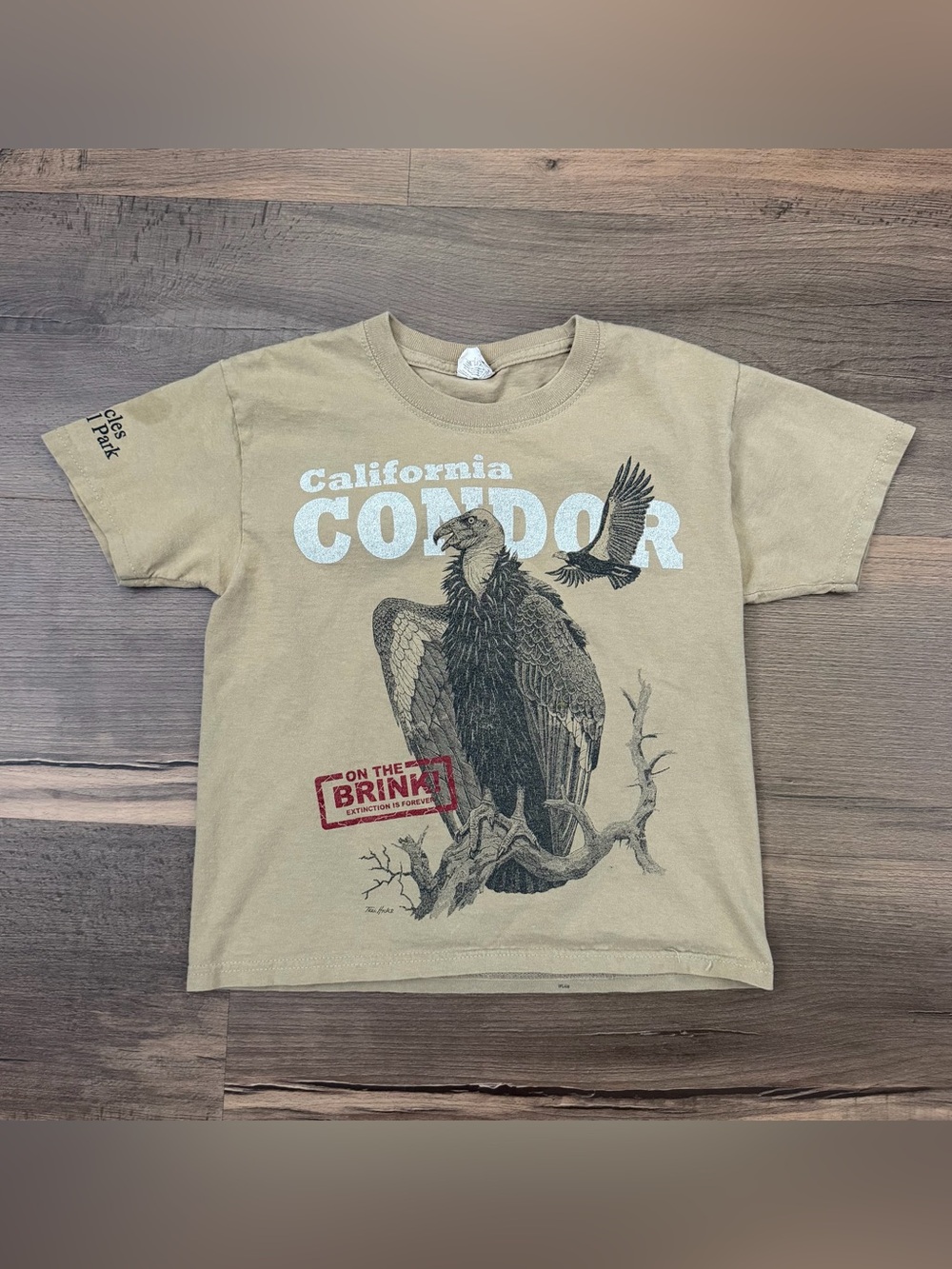 Pinnacles National Park California Condor Tan Youth Graphic T-Shirt Size Small